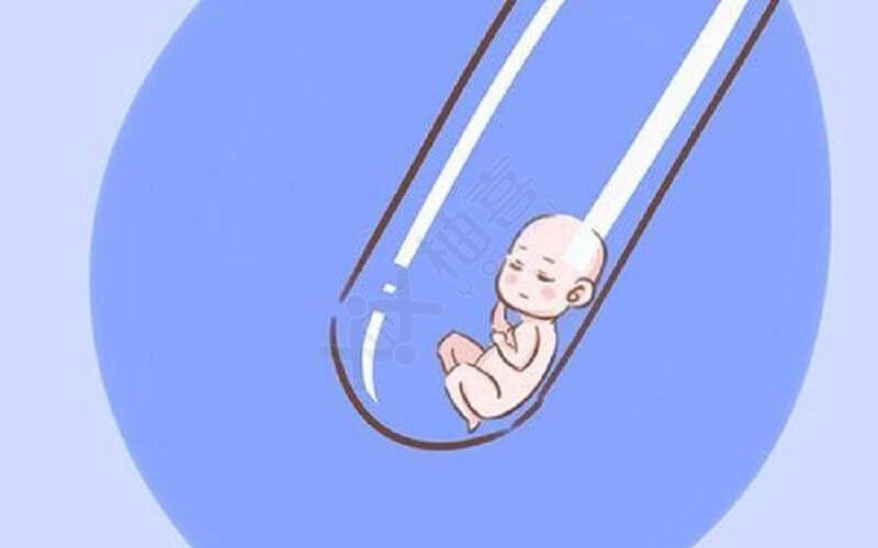男性生育