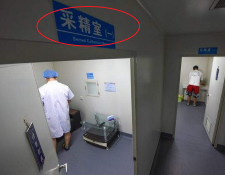 乳腺管