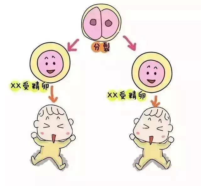 男性孕检