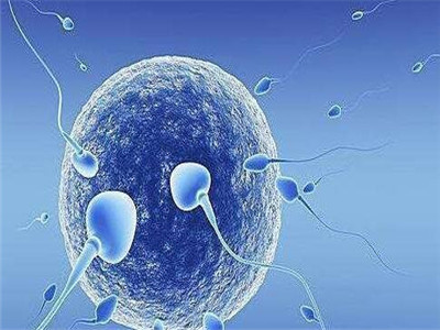 男性孕检