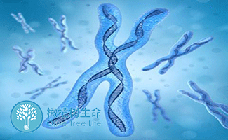 男性孕前检查