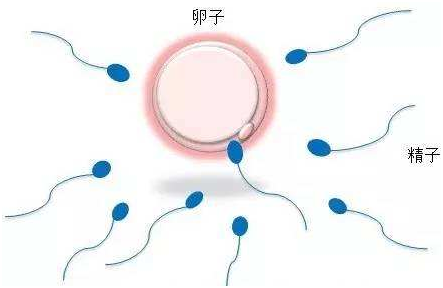月经前期出血