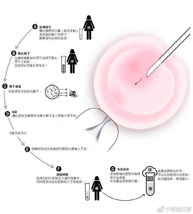 移植后着床成功