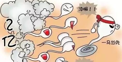 移植着床