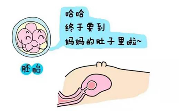 第三胎儿入盆