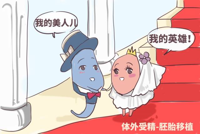 孕妇家常菜