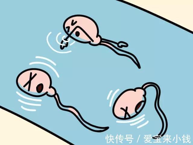 金毓婷