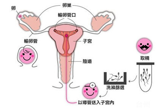 计算排卵日最准确的软件