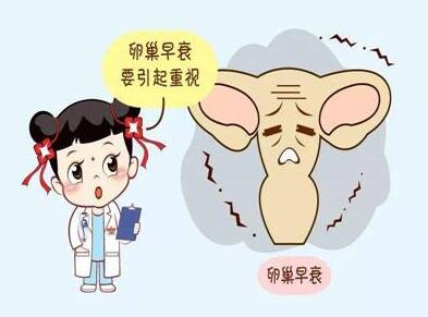 胚胎移植