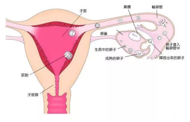 空调宝宝