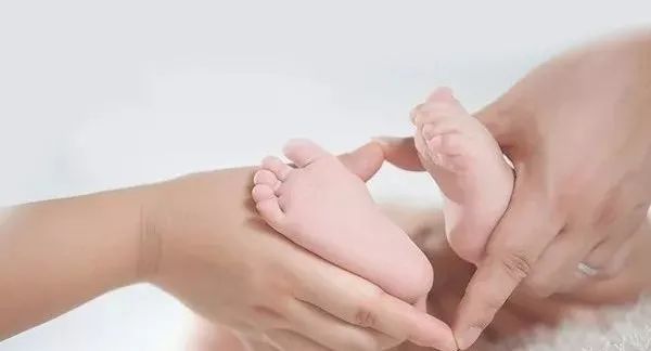 移植胚胎